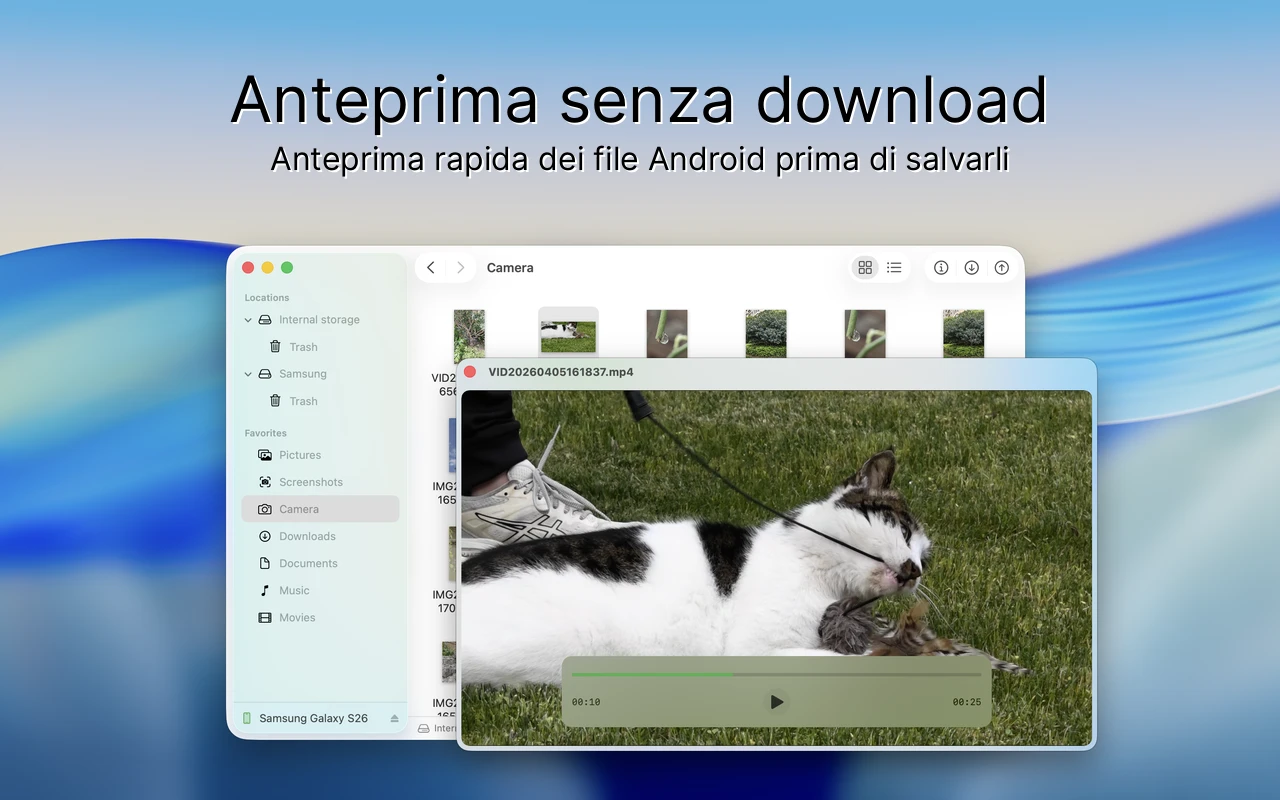 Interfaccia Findroid - Anteprima rapida